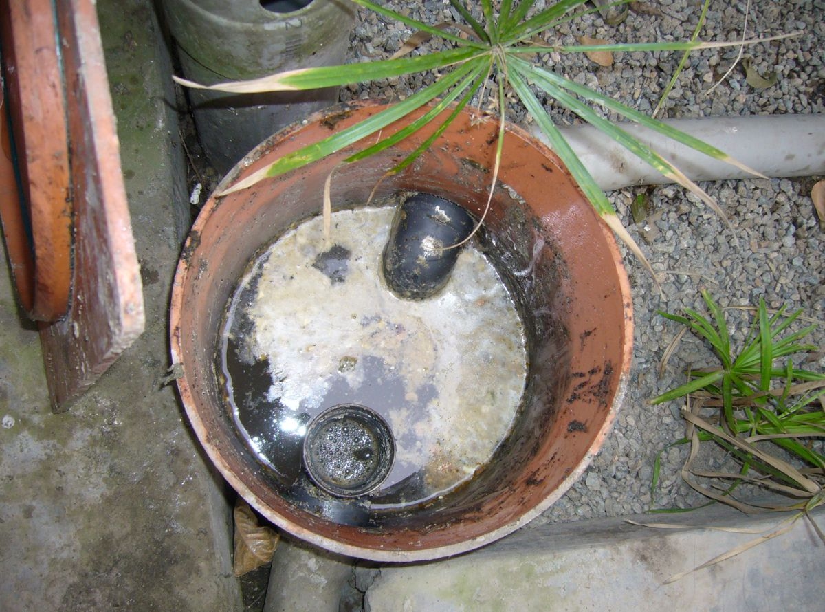 Kesalahan Sehari-hari yang Merusak Septic Tank