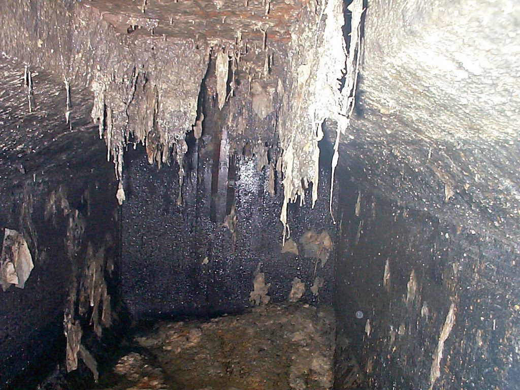 5 Tanda Septic Tank Anda Sudah Penuh dan Harus Segera Disedot